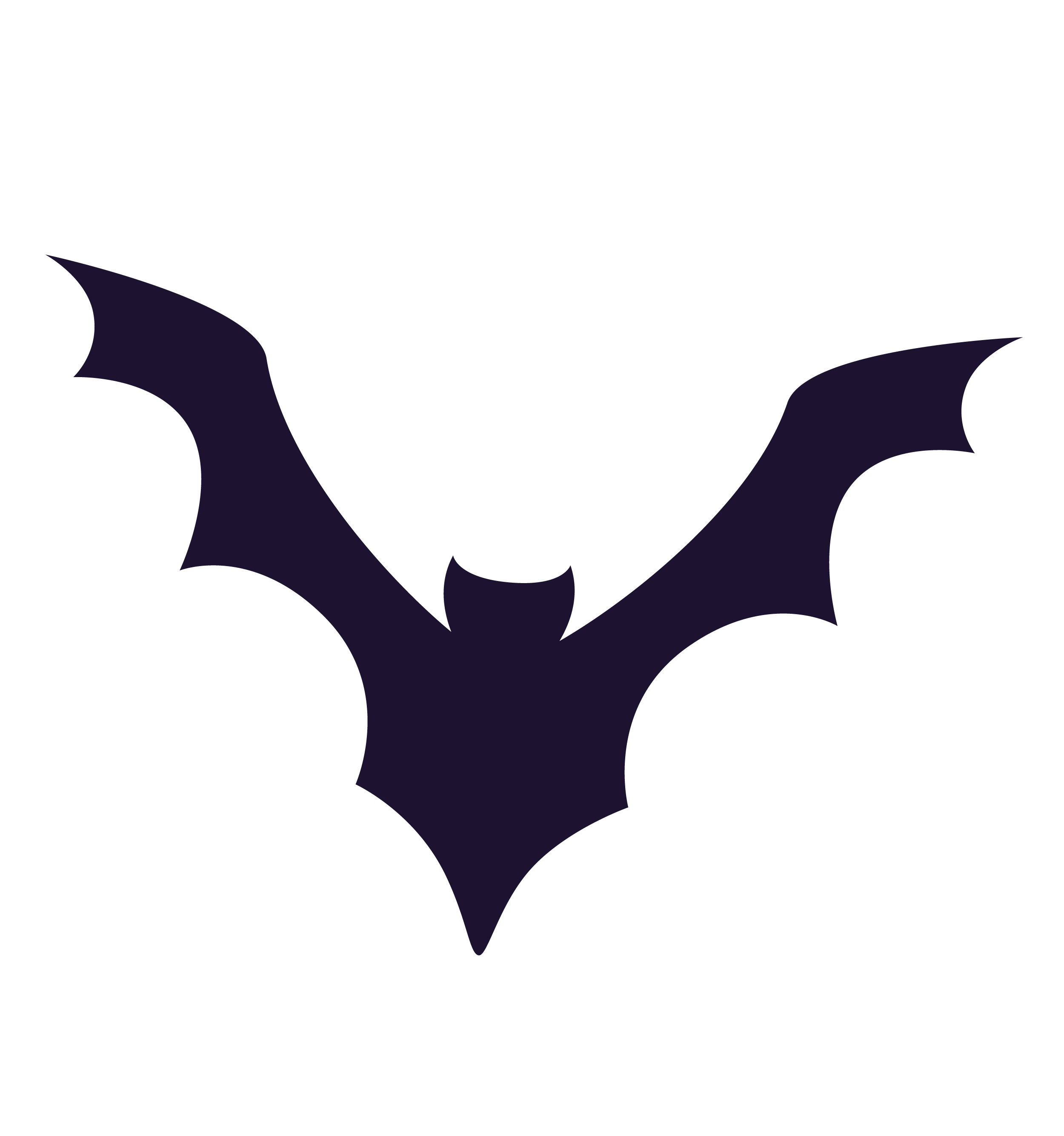 image bat